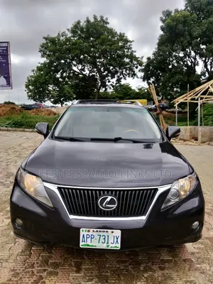 Lexus RX 2010 Gray