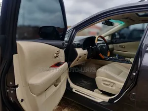 Lexus RX 2010 Gray