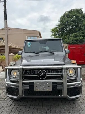 Mercedes-Benz G-Class 2010 Gray