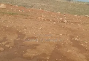 Estate Lands