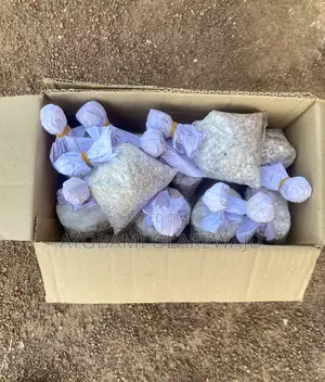 Oyster Mushroom Spawn/Seed