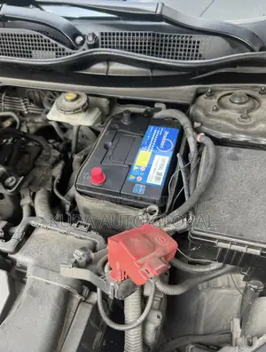 Suv Car Battery 12v 75ahs Everstart for Car