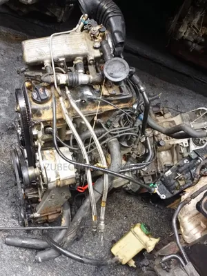 2.0 Audi 90 Tiger Face