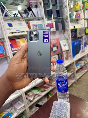 Apple iPhone 12 Pro Max 256 GB Gray