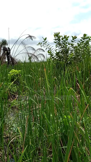 Distress Sale Plots of Land for Sale