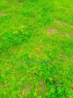 Residential Lands at Katampe Extension