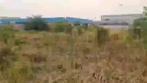 For Business