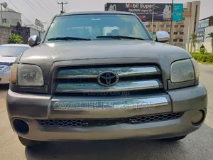 Toyota Tundra 2005 Gray