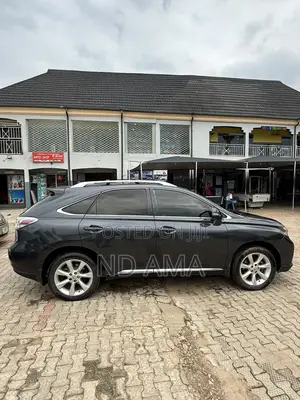 Lexus RX 2010 Blue