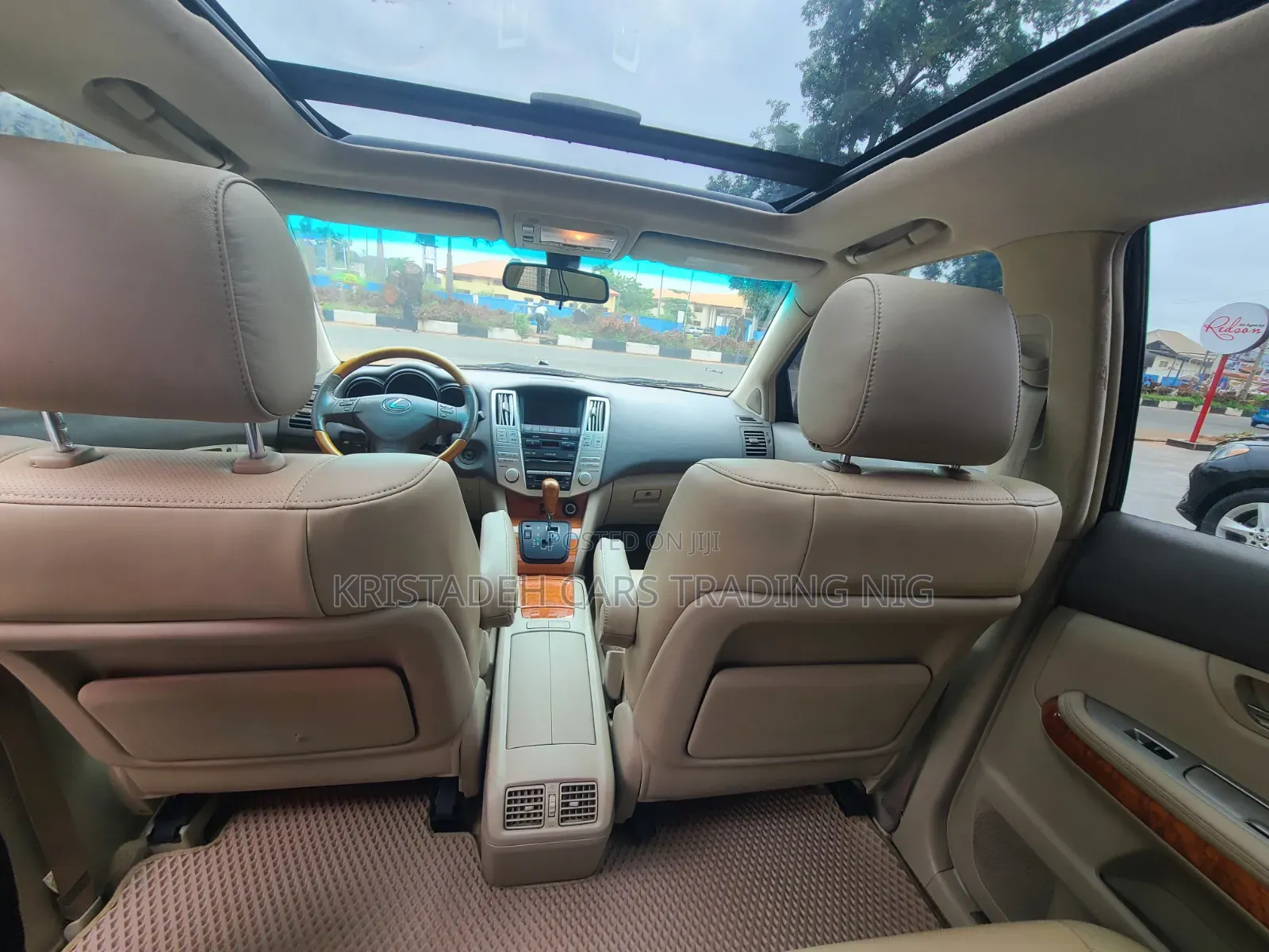 Lexus RX 2009 Blue
