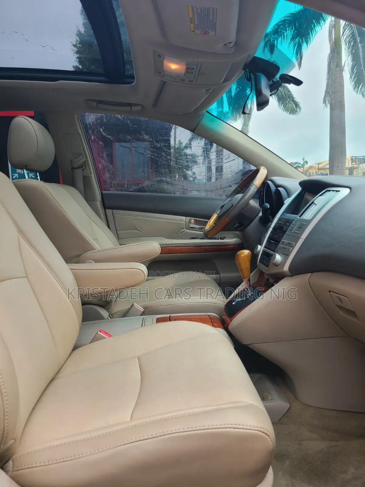 Lexus RX 2009 Blue