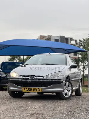 Peugeot 206 RC 2003 Silver