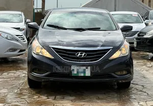 Hyundai Sonata 2011 Blue