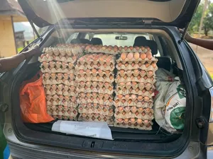 Fresh Farm-Chicken Layer Eggs