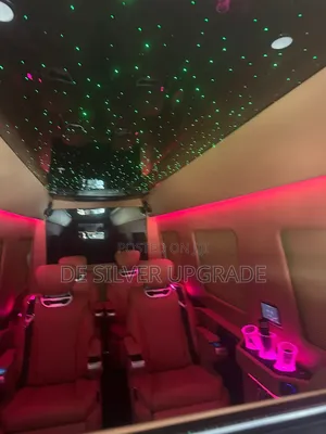 Premium Ambient Light Professional Installation
