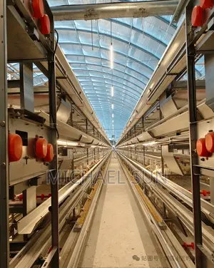 Poultry Chicken Hens Farming Cages Battery Cages