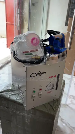 Steam Iron Professional Garment Care