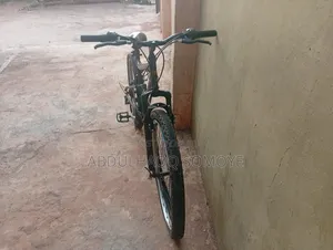 Adult Bicycle
