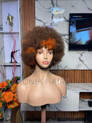 Afro Human Hair Wig
