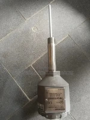 Pt100 Temperature Sensor 1⁄2 NPT 300mm Temperature Bulb (Rtd)