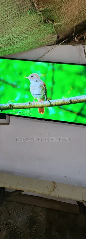 Electronic