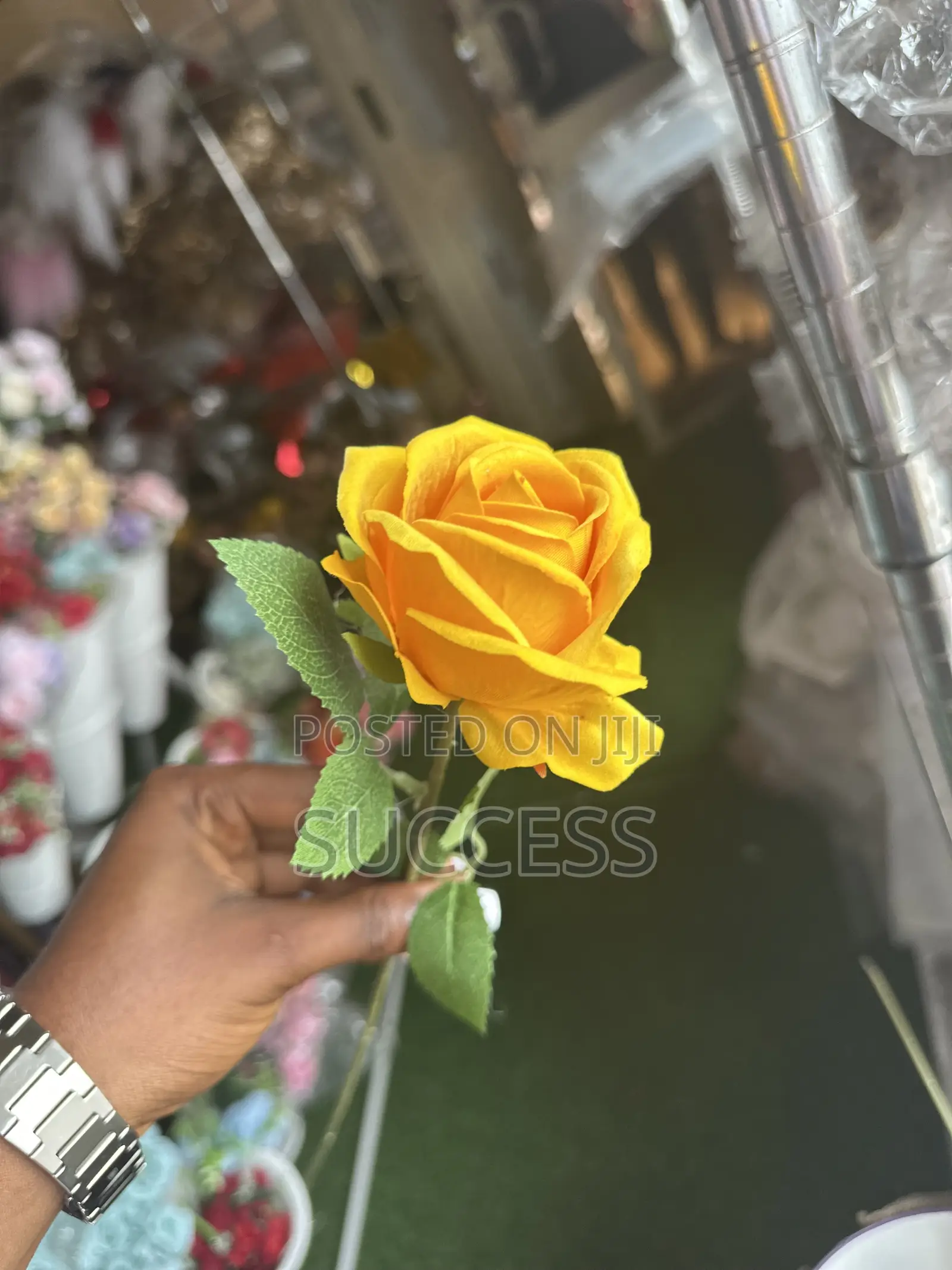 Rose Flowers