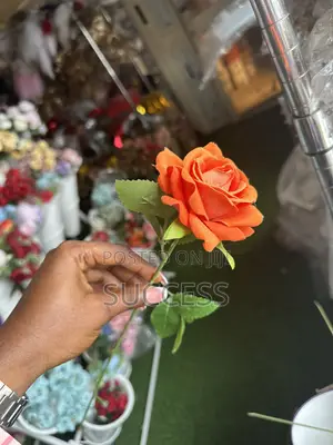 Rose Flowers