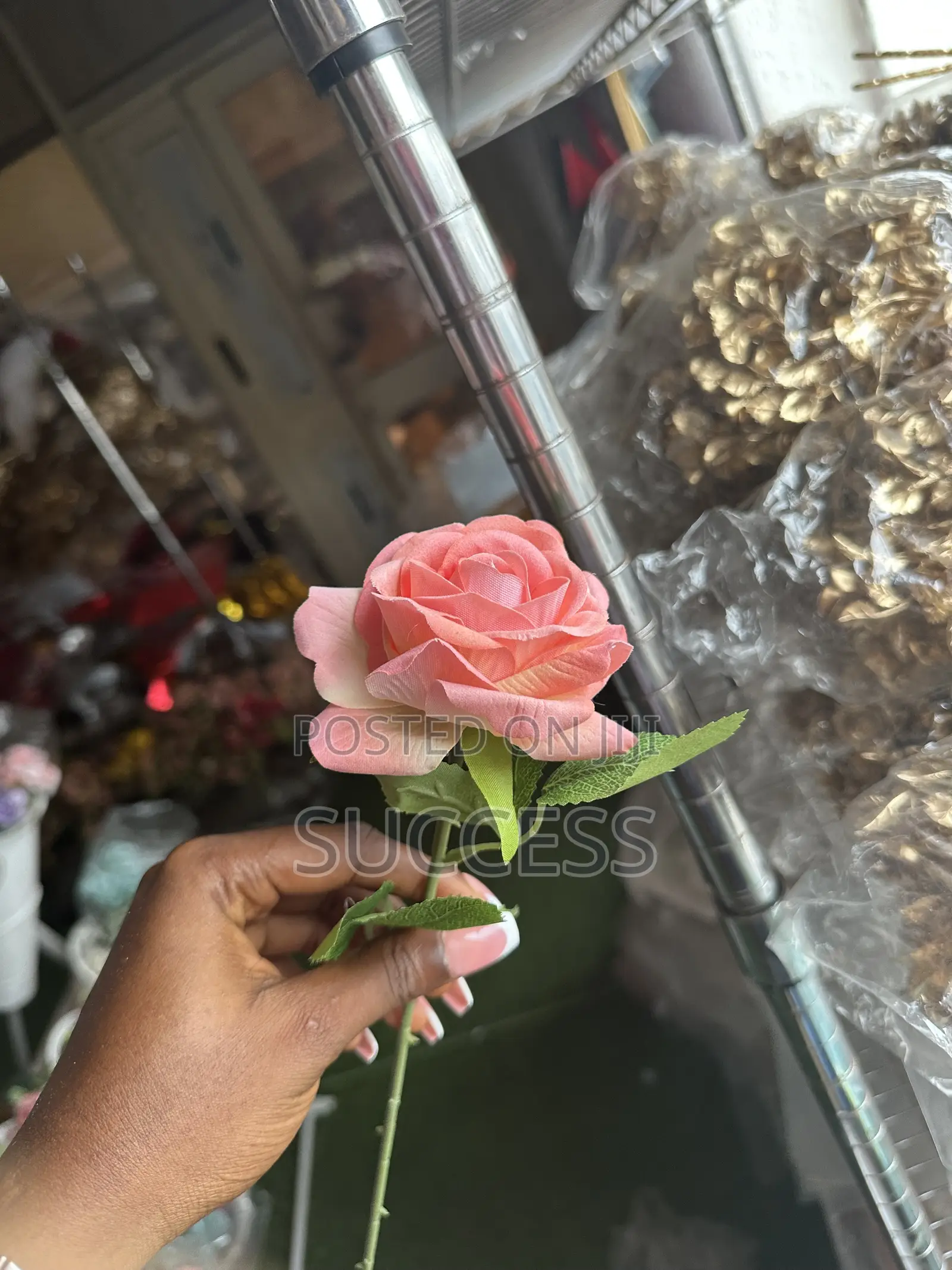 Rose Flowers