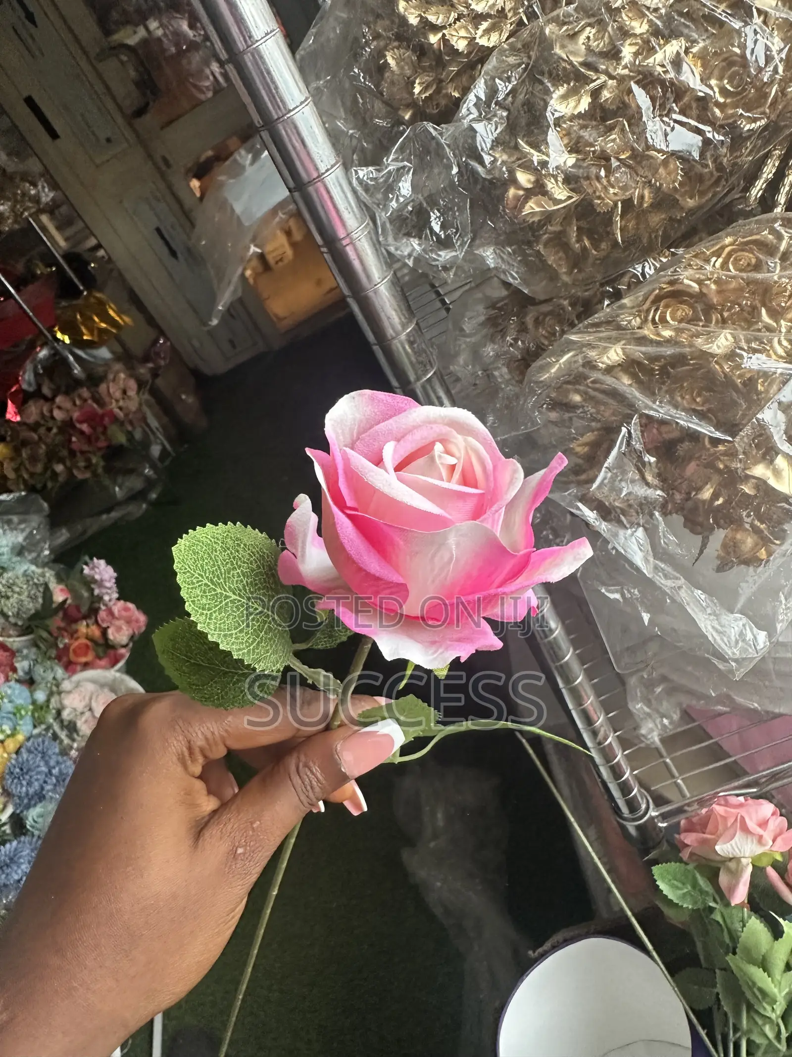Rose Flowers