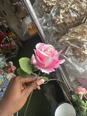 Rose Flowers