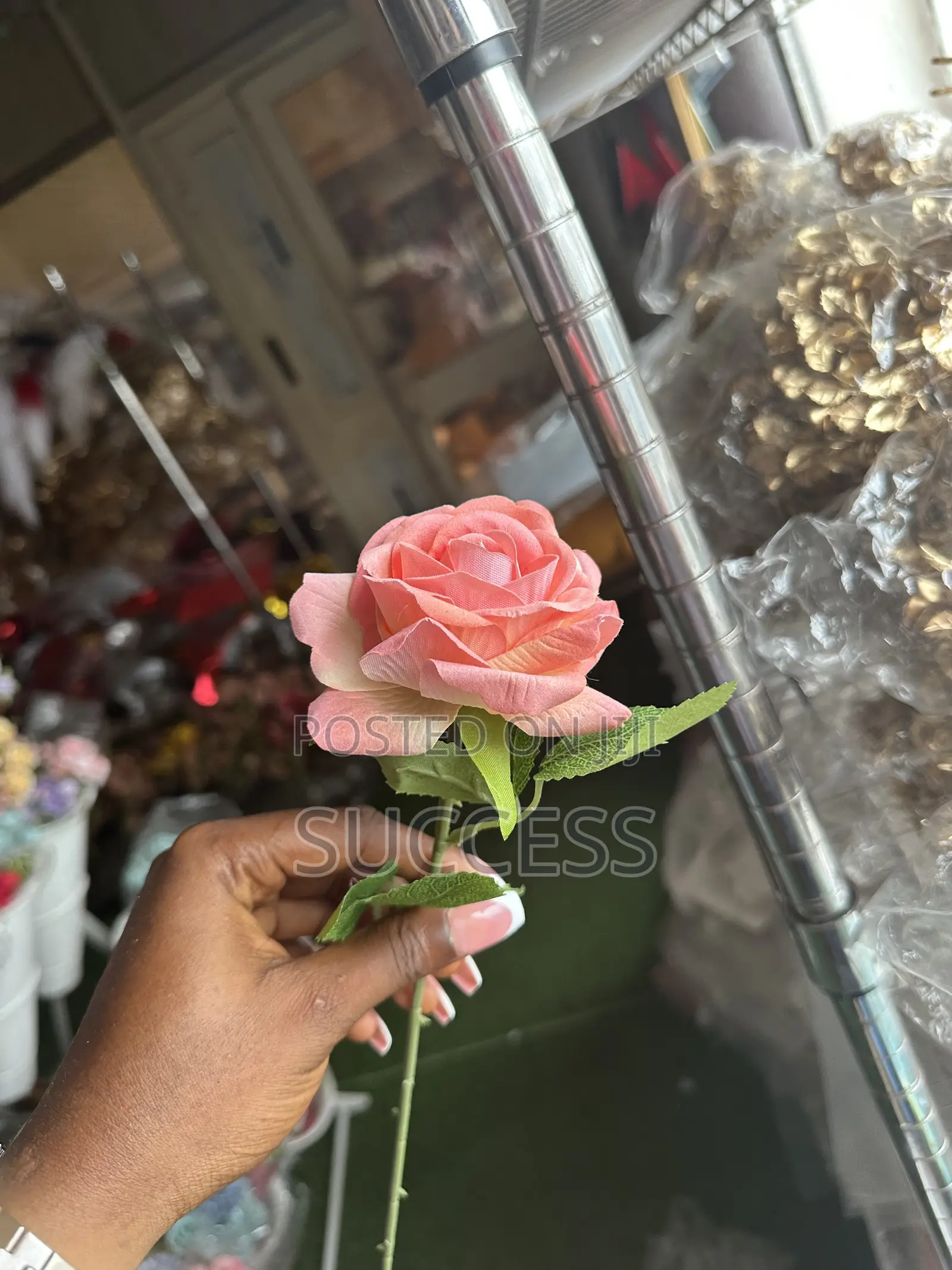 Rose Flowers