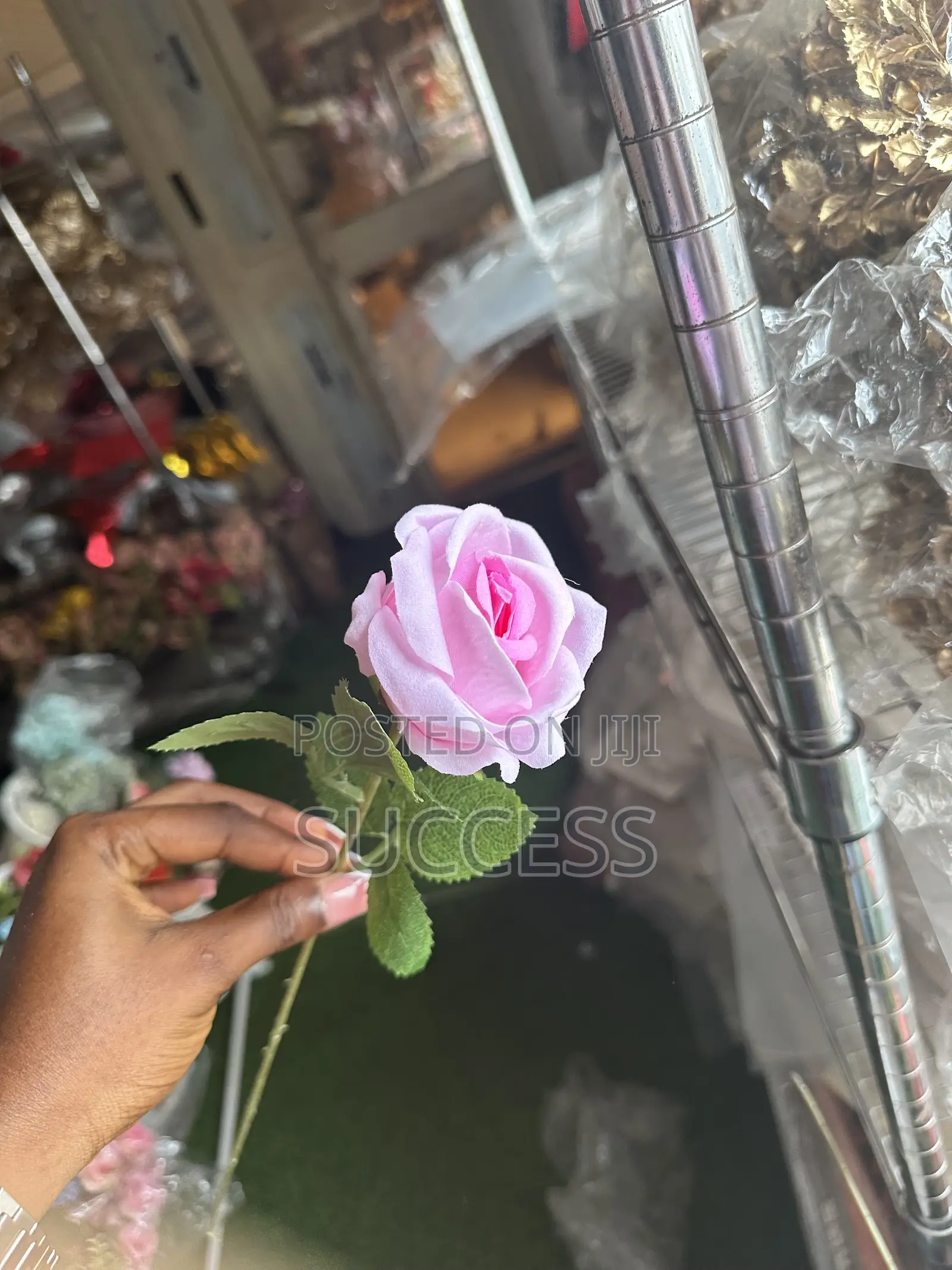 Rose Flowers