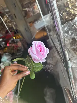 Rose Flowers