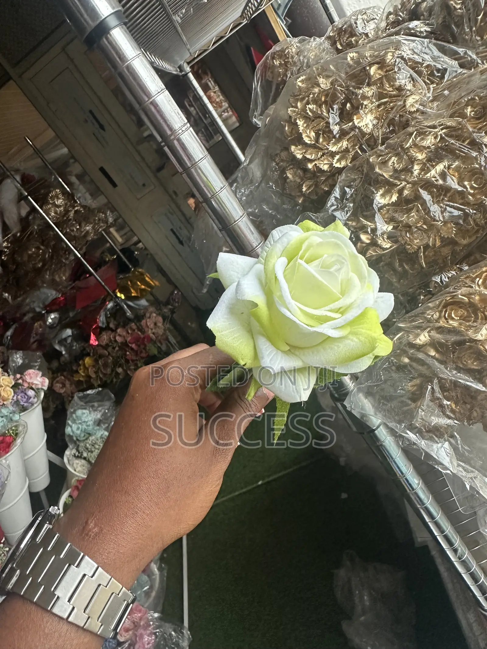 Rose Flowers