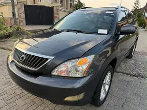 Lexus RX 2009 Gray