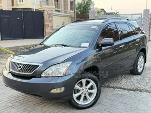 Lexus RX 2009 Gray