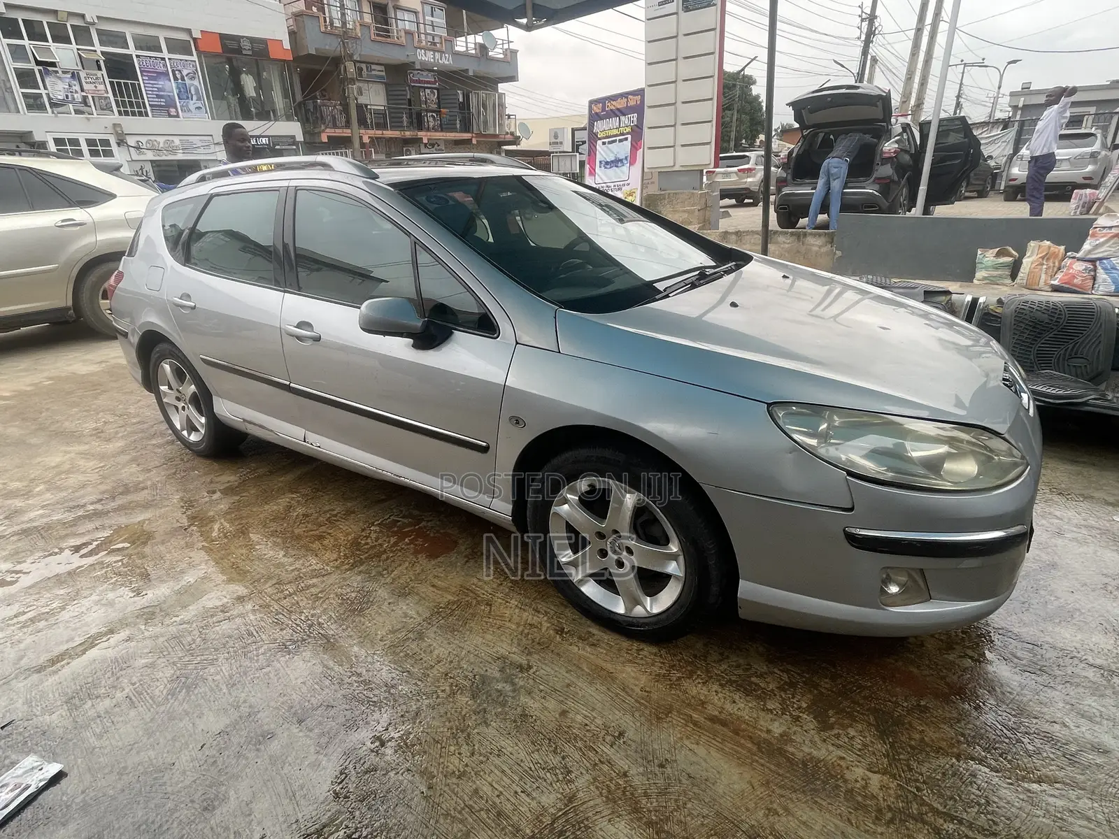 Peugeot 407 2.0 SW 2007 Silver