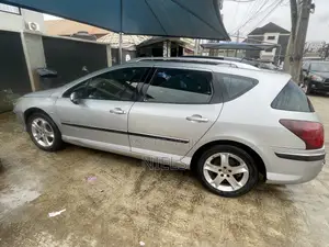 Peugeot 407 2.0 SW 2007 Silver