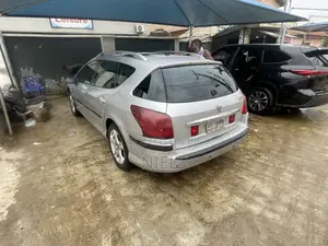 Peugeot 407 2.0 SW 2007 Silver