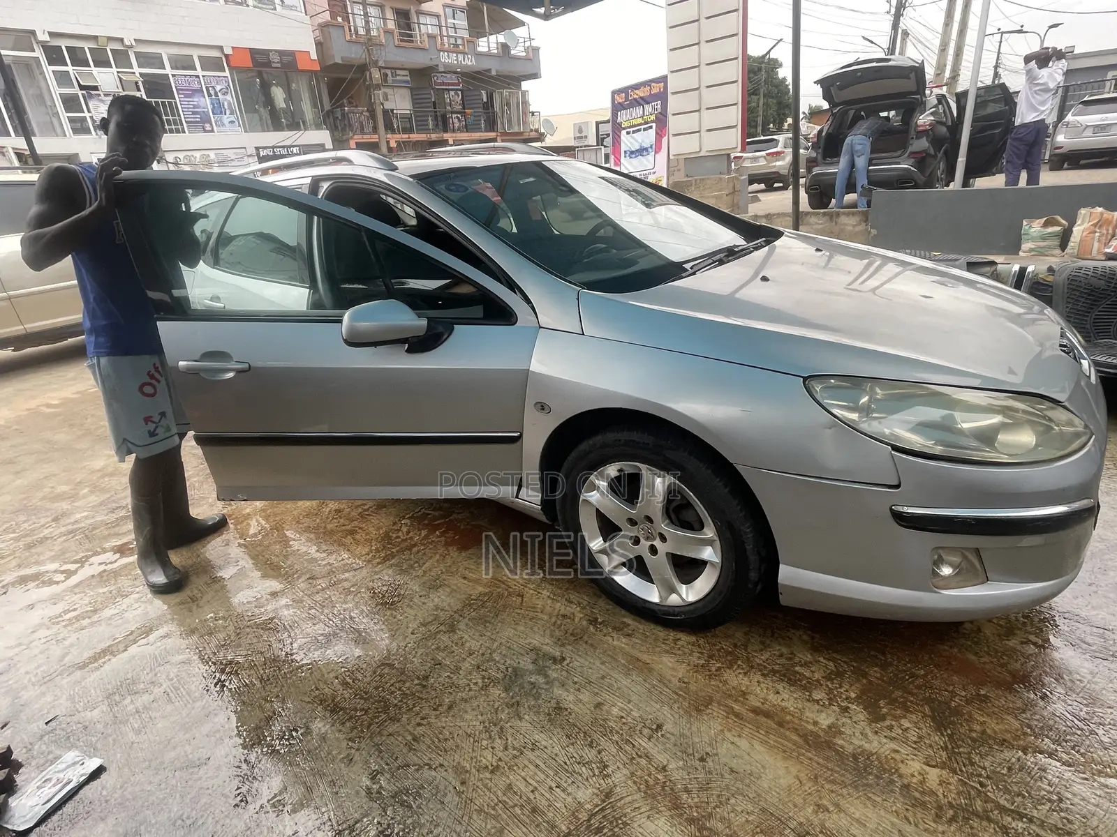 Peugeot 407 2.0 SW 2007 Silver