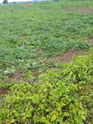 10 Plots of Farm Land for Sale