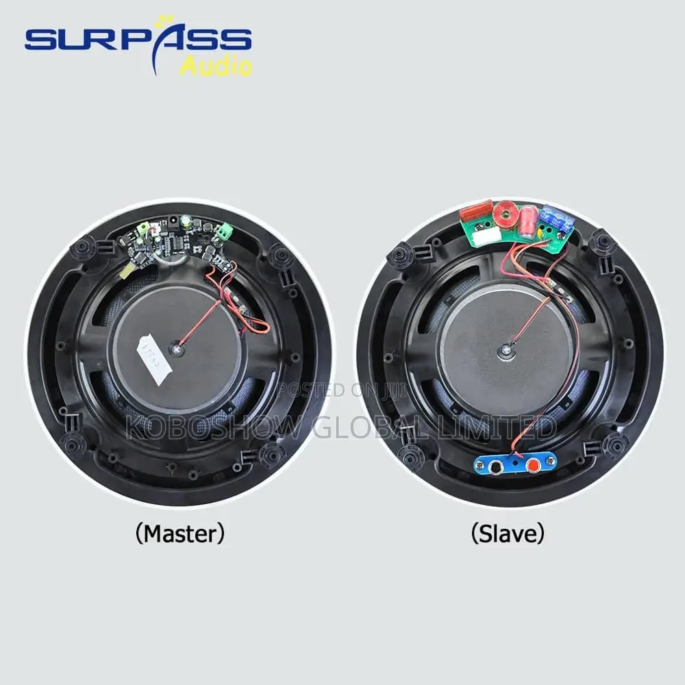 2in1 Bluetooth Ceiling Speaker