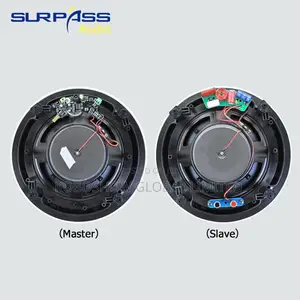 2in1 Bluetooth Ceiling Speaker