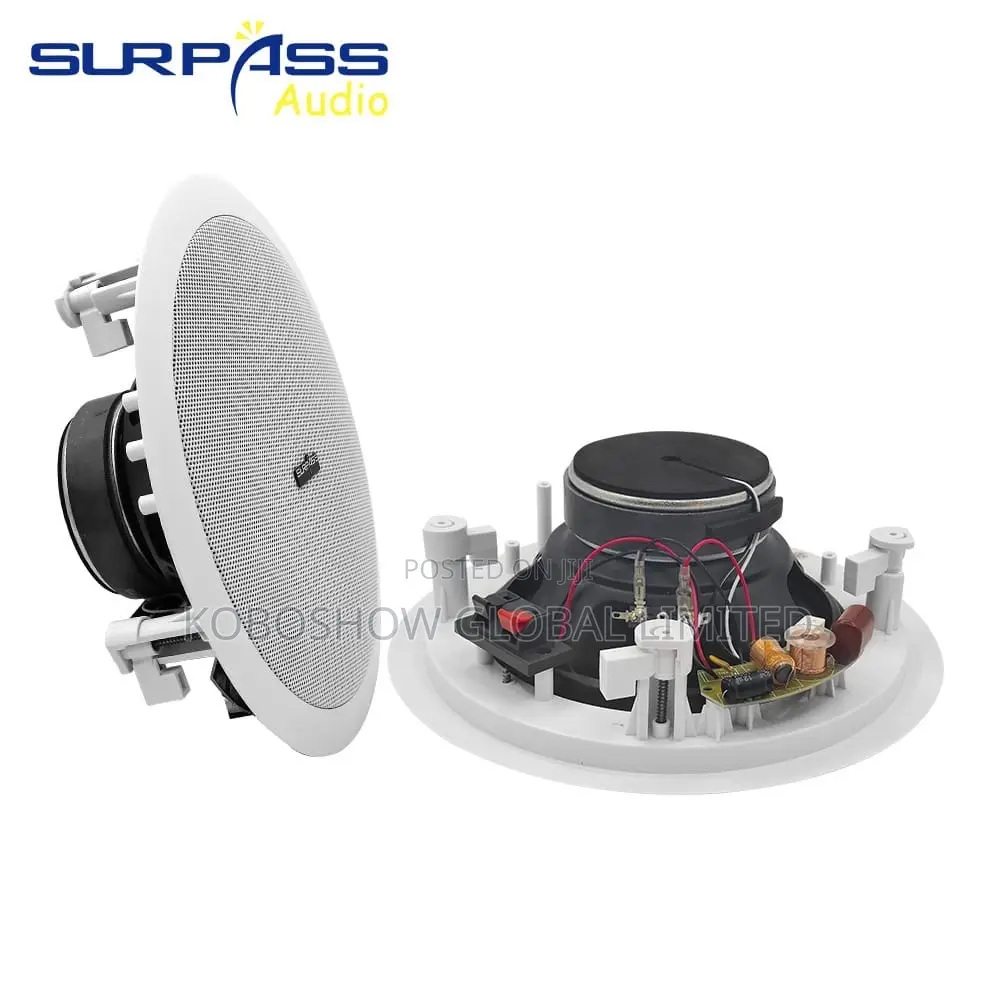 2in1 Bluetooth Ceiling Speaker
