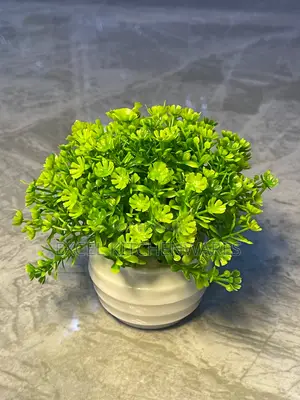 Decoration Flowers