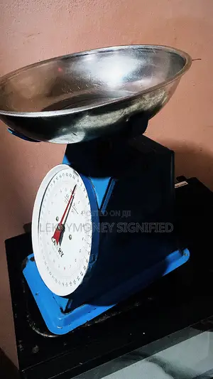 20kg Scale