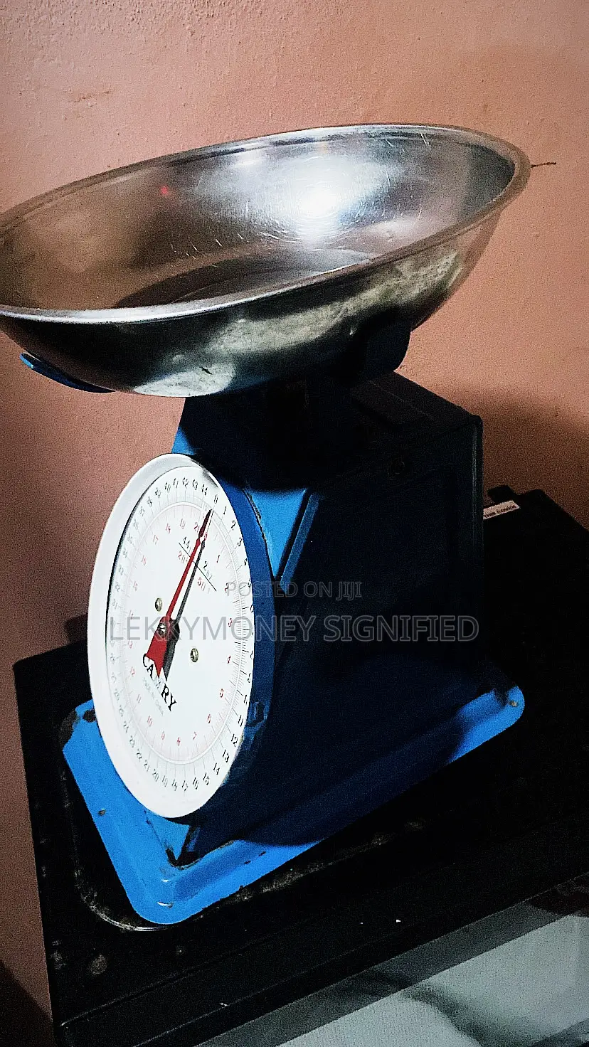 20kg Scale