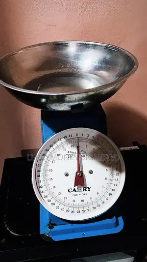 20kg Scale