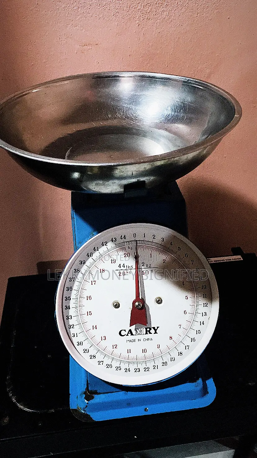 20kg Scale