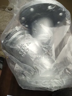 4" Y Streinar Valve